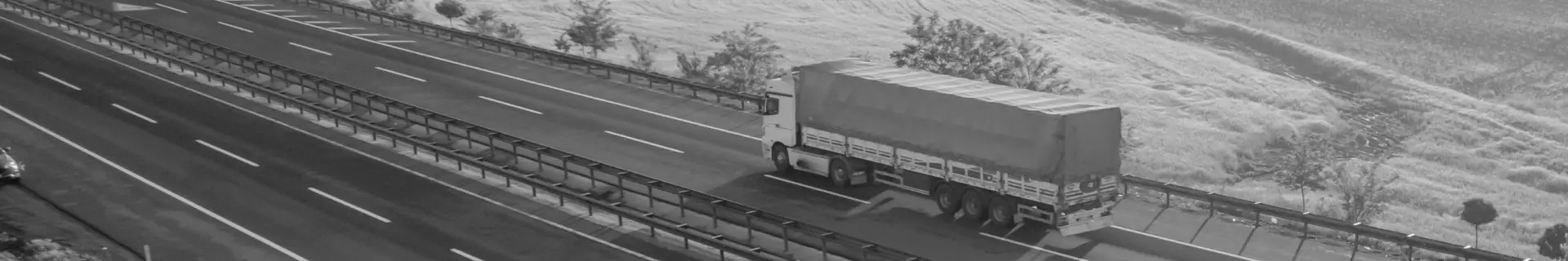 Flota Topio Logistics pentru transport rutier