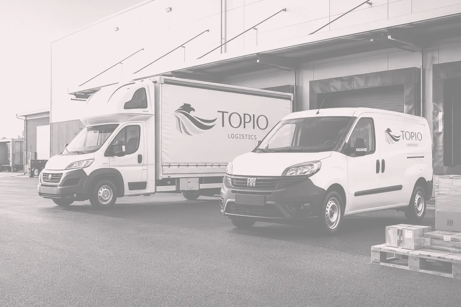 Flota si dezvoltare pentru investitii transport